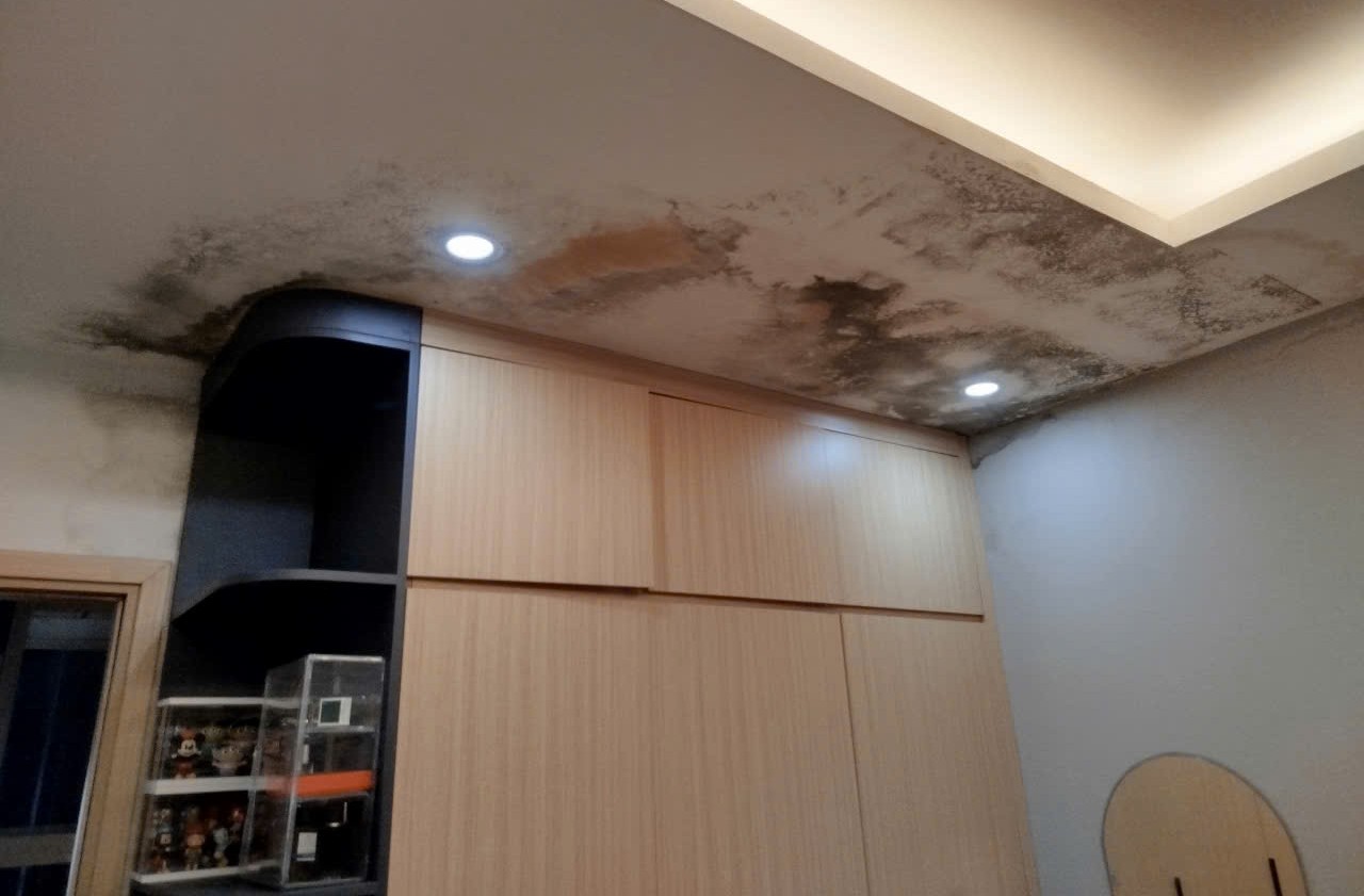 Dịch vụ tẩy mốc nhà Giải pháp sạch nấm mốc, an toàn và bền vững Dịch vụ tẩy mốc nhà Giải pháp sạch nấm mốc, an toàn và bền vững