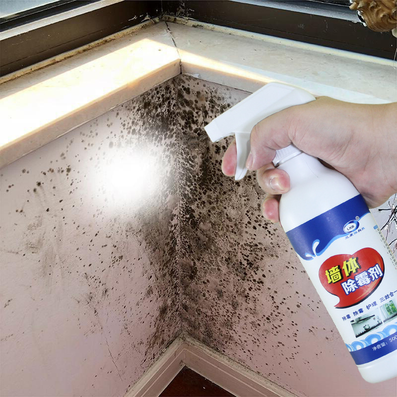 Tẩy mốc nhà Cách xử lý mảng đen nấm mốc an toàn, hiệu quả Tẩy mốc nhà Cách xử lý mảng đen nấm mốc an toàn, hiệu quả