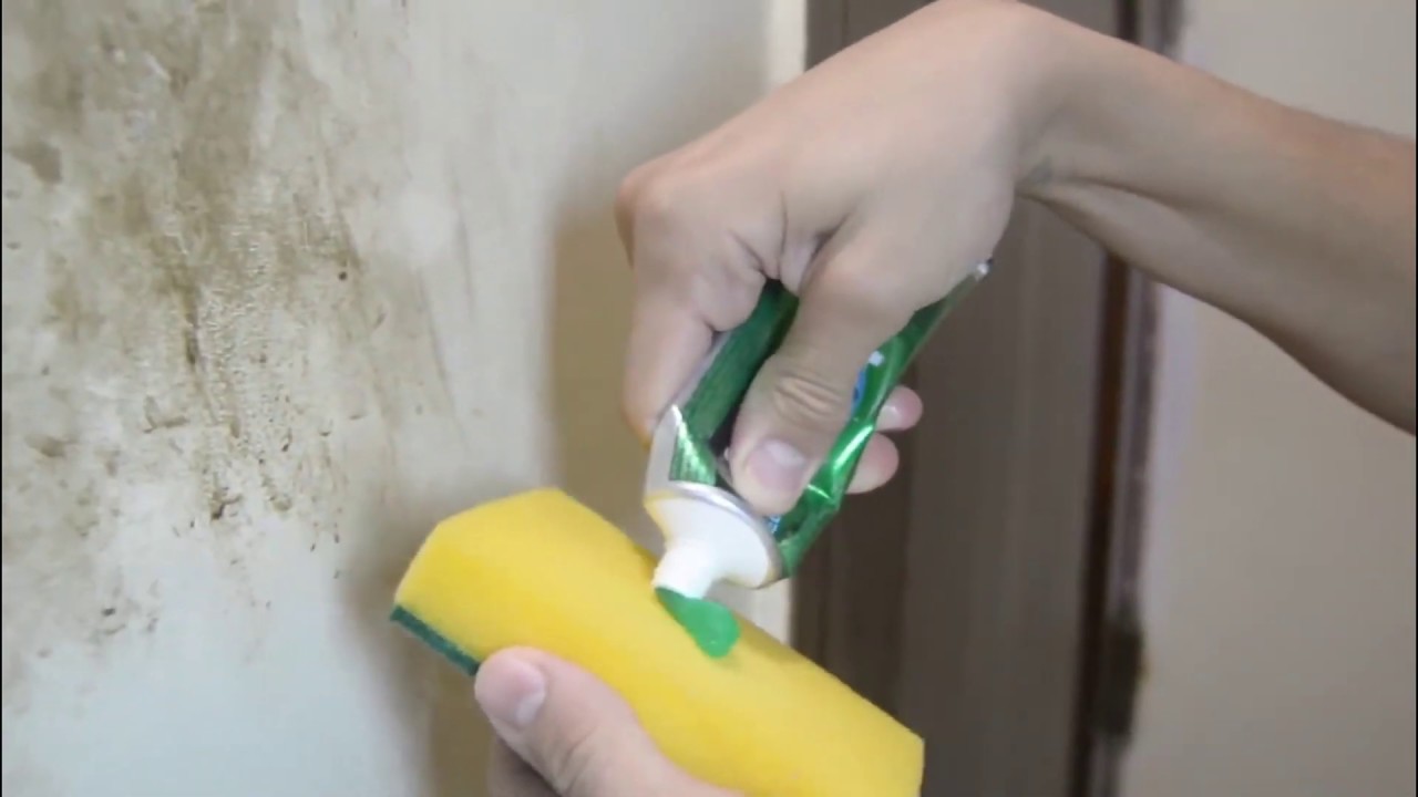 Tẩy mốc tương: Cách xử lý sạch nấm mốc, ngăn tái phát hiệu quả Tẩy mốc tương: Cách xử lý sạch nấm mốc, ngăn tái phát hiệu quả