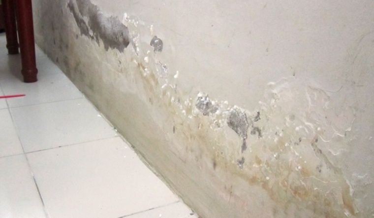 Tẩy mốc tương: Cách xử lý sạch nấm mốc, ngăn tái phát hiệu quả Tẩy mốc tương: Cách xử lý sạch nấm mốc, ngăn tái phát hiệu quả