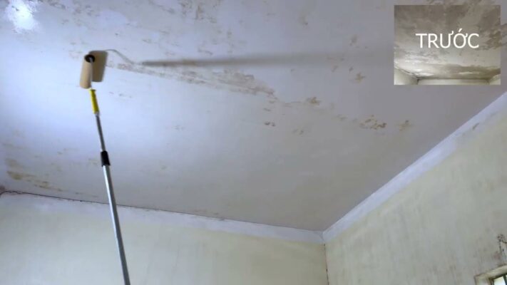Tẩy mốc tương: Cách xử lý sạch nấm mốc, ngăn tái phát hiệu quả Tẩy mốc tương: Cách xử lý sạch nấm mốc, ngăn tái phát hiệu quả