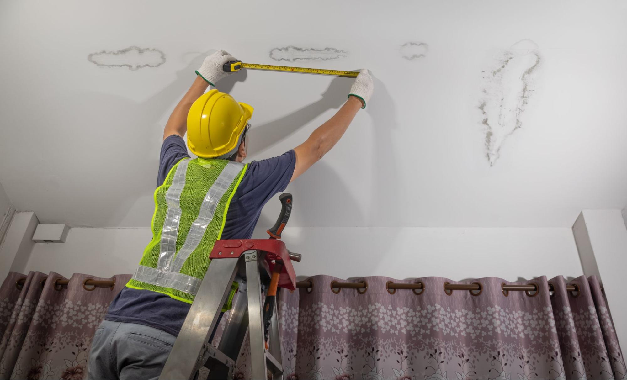 Xử Lý Mốc Trần Hiệu Quả Hướng Dẫn Từng Bước, An Toàn và Dứt Điểm Xử Lý Mốc Trần Hiệu Quả Hướng Dẫn Từng Bước, An Toàn và Dứt Điểm