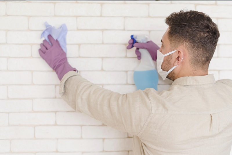 Xử lý mốc tường Hướng dẫn sạch nấm mốc, bền bỉ và an toàn cho nhà bạn