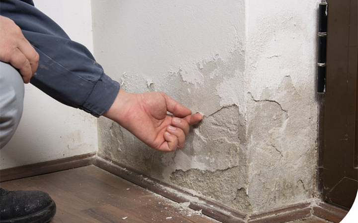 Xử lý mốc tường Hướng dẫn sạch nấm mốc, bền bỉ và an toàn cho nhà bạn
